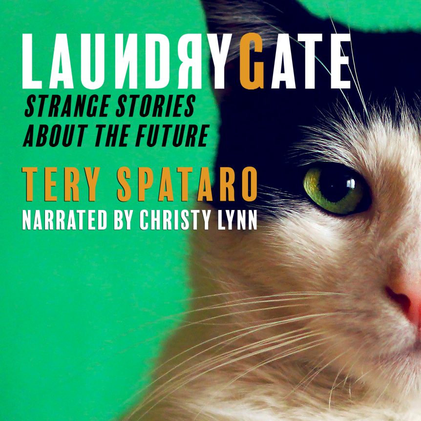 Audiobook - Laundrygate Strange Stories About the Future Tery Spataro narration Christy Lynn