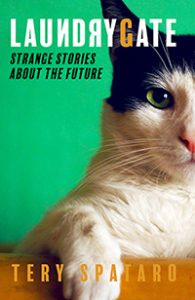 Amazon Tery Spataro Laundrygate Strange Stories About the Future cover