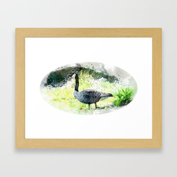 Goose and Pond Tery Spataro-framed-prints
