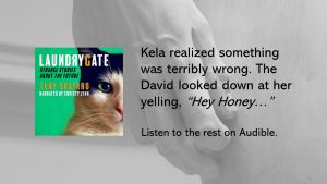 Hey Honey Laundrygate the story audible release tery spataro