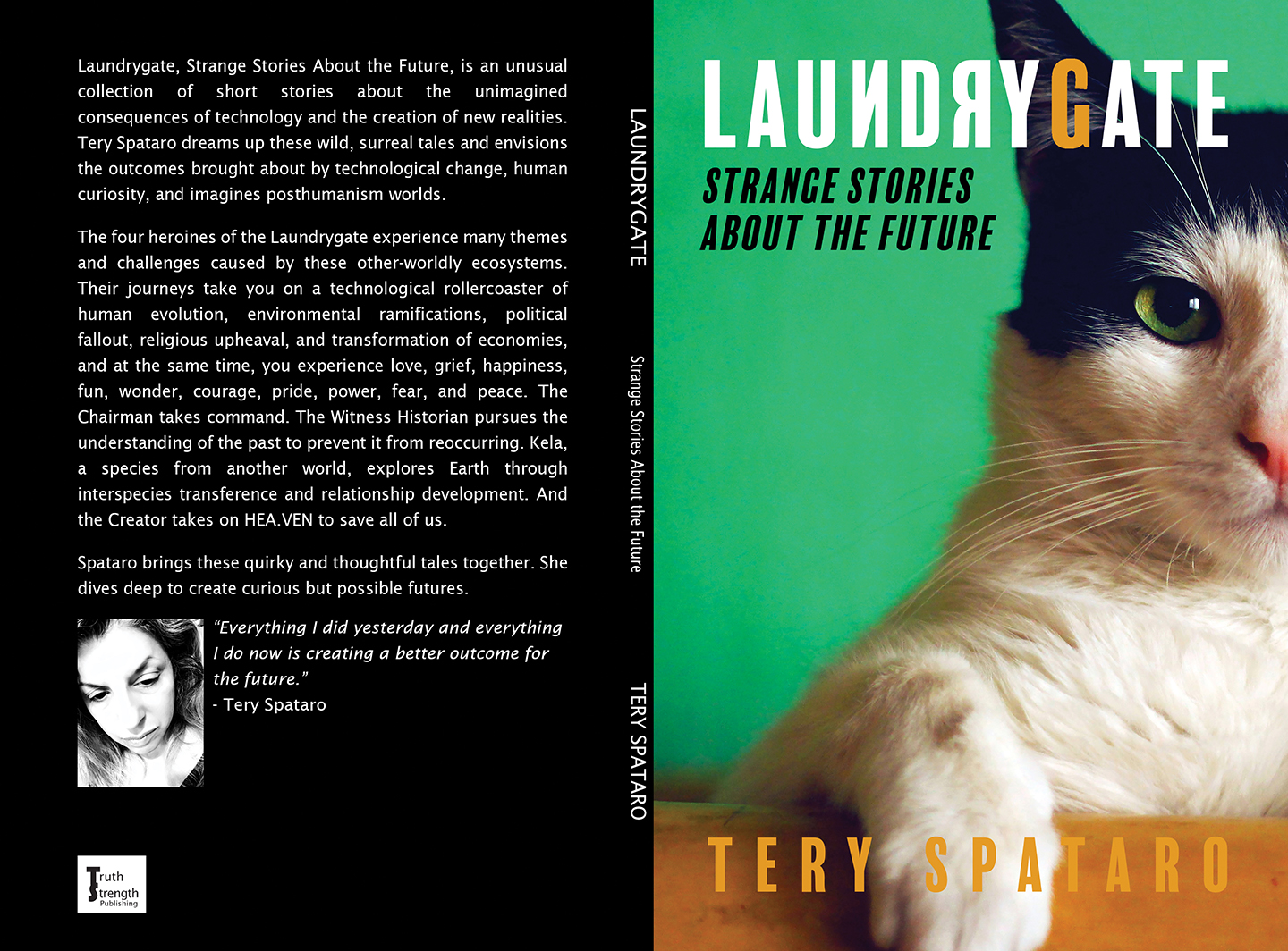 Laundrygate Strange Stories About the Future book by Tery Spataro
